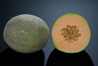 Melon Charentais