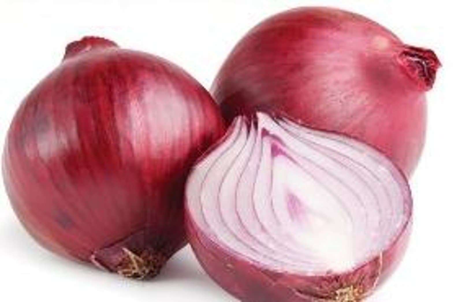 Oignon violet de Galmi