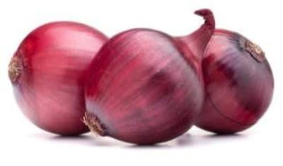 Oignon Red Regal F1