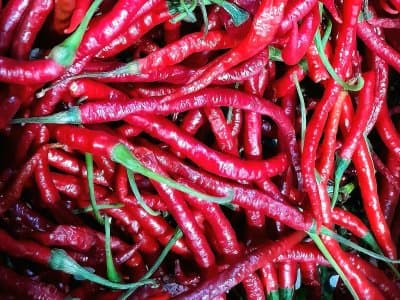 Piment Massaya