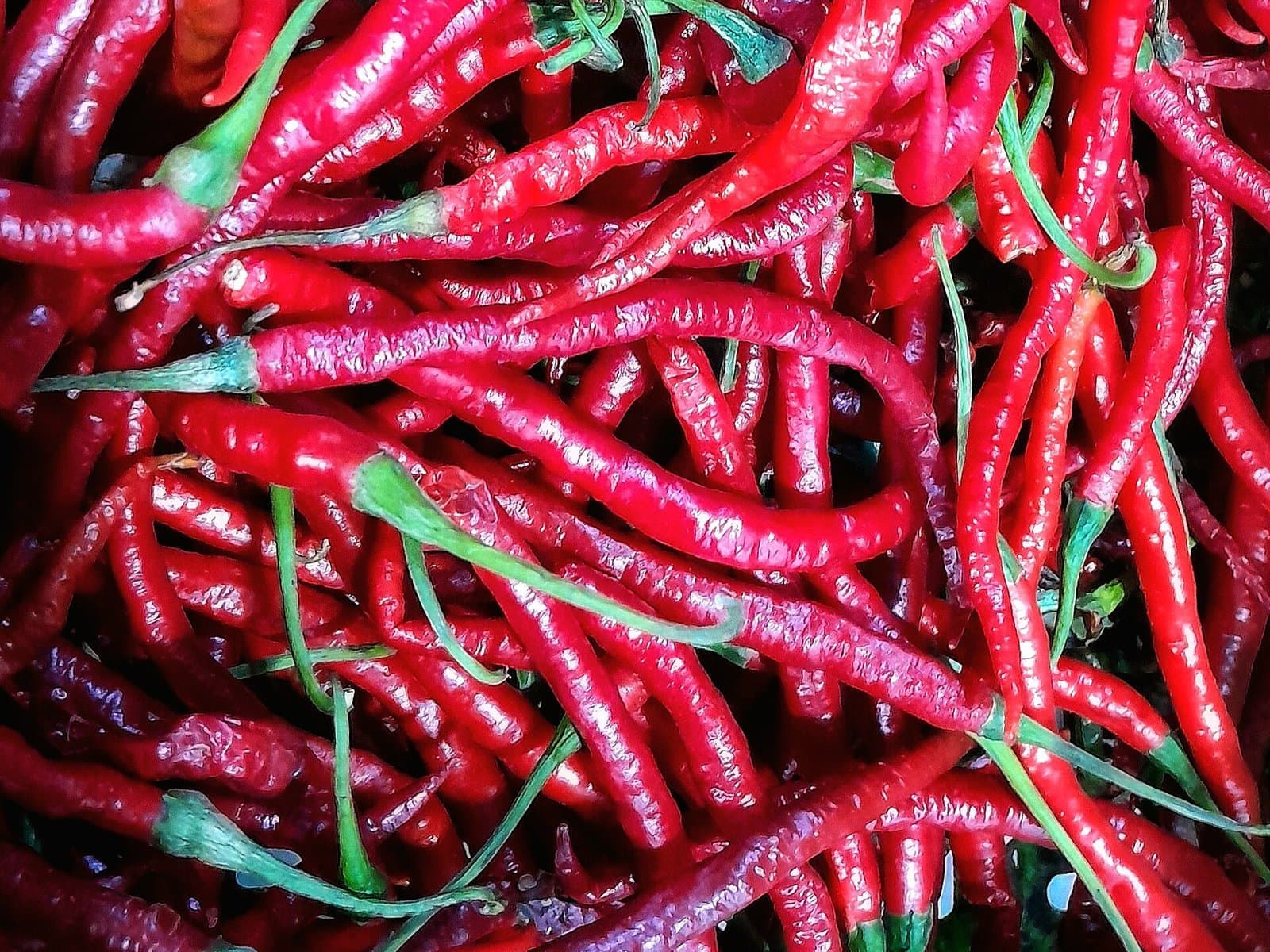 Piment Massaya