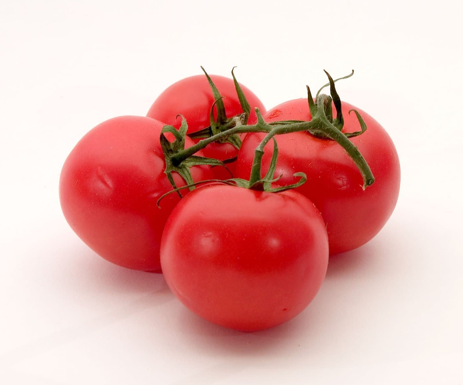 Tomate Cobre 26